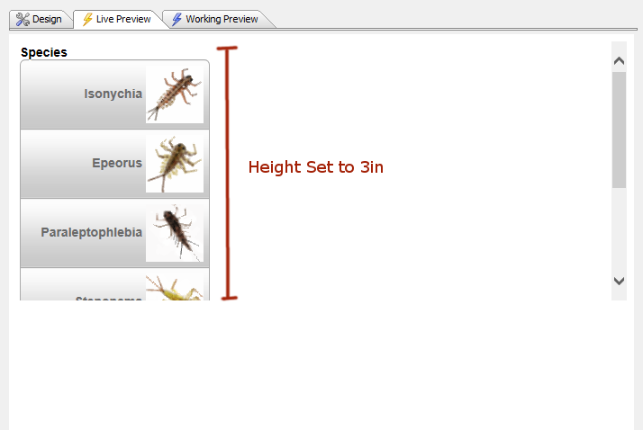 Height5